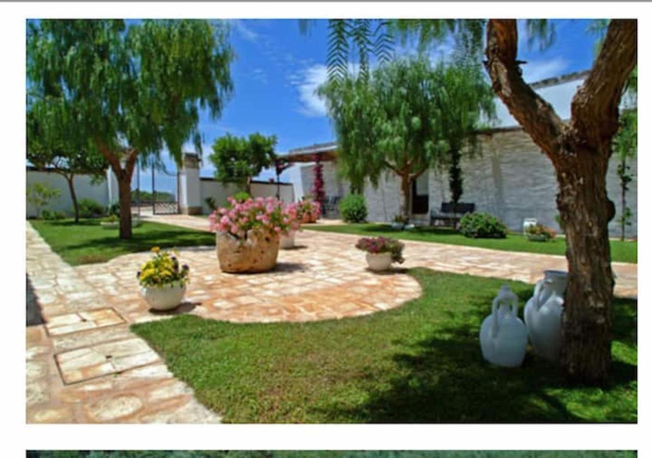 Room In Bb - Stunning Quadruple Room In Ancient Masseria Near The Sea In A Quiet Olive Trees Ostuni Bagian luar foto